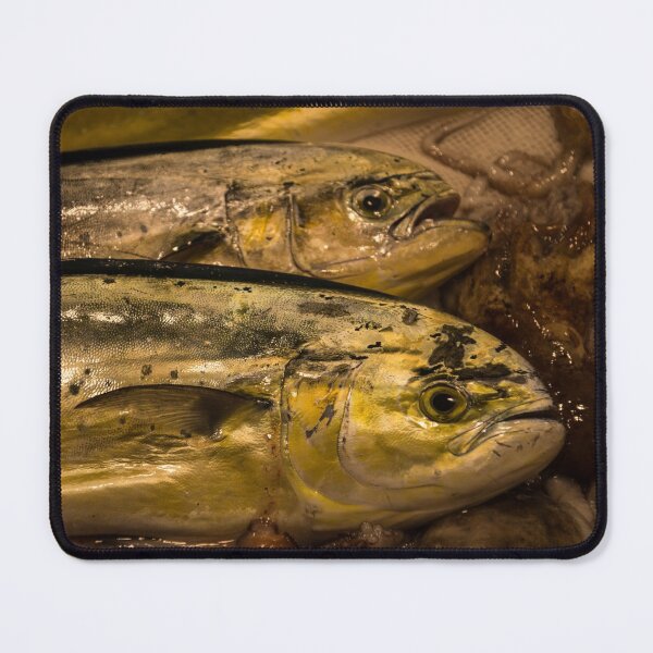 Item preview, Freshly Caught Mahimahi at the Market designed and sold by Georgia Mizuleva.