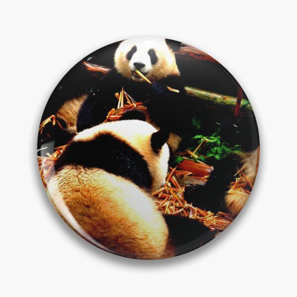 Item preview, panda photo with high resolution quality designed and sold by Allyouneed-2.