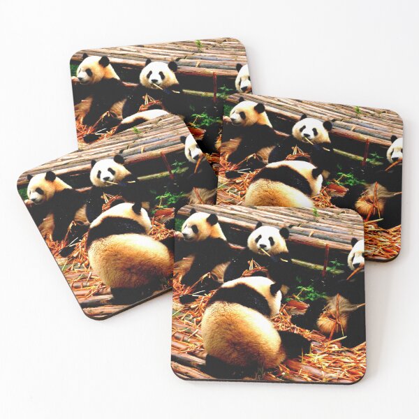 Item preview, panda photo with high resolution quality designed and sold by Allyouneed-2.