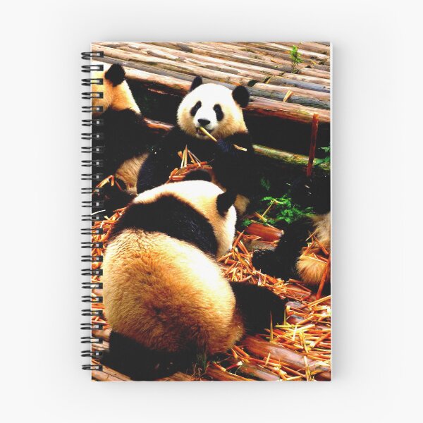 Item preview, panda photo with high resolution quality designed and sold by Allyouneed-2.