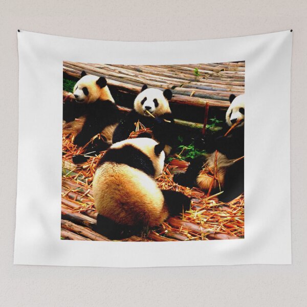 Item preview, panda photo with high resolution quality designed and sold by Allyouneed-2.