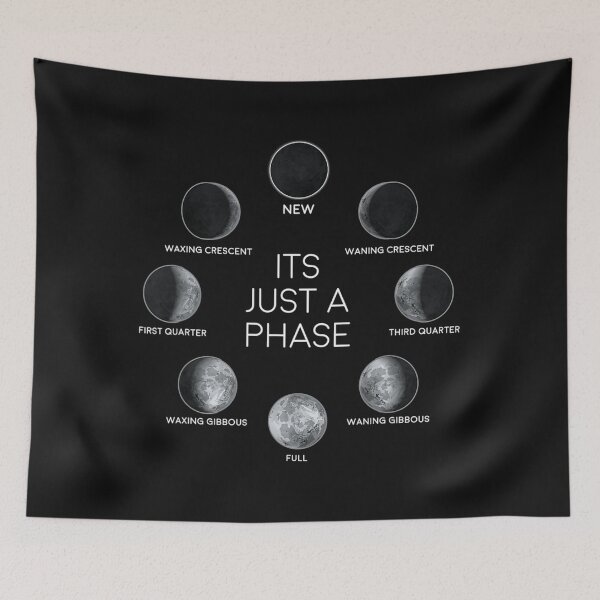 Item preview, Just A Phase Moon Shirt Lunar Space Gift  designed and sold by ElesaFox.