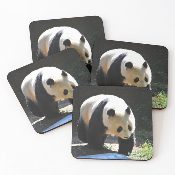 Item preview, panda photo with high resolution quality designed and sold by Allyouneed-2.