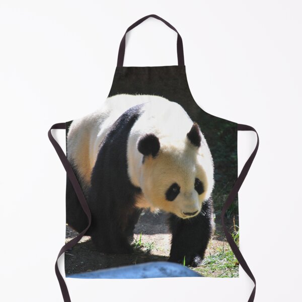 Item preview, panda photo with high resolution quality designed and sold by Allyouneed-2.