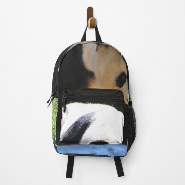 Item preview, panda photo with high resolution quality designed and sold by Allyouneed-2.
