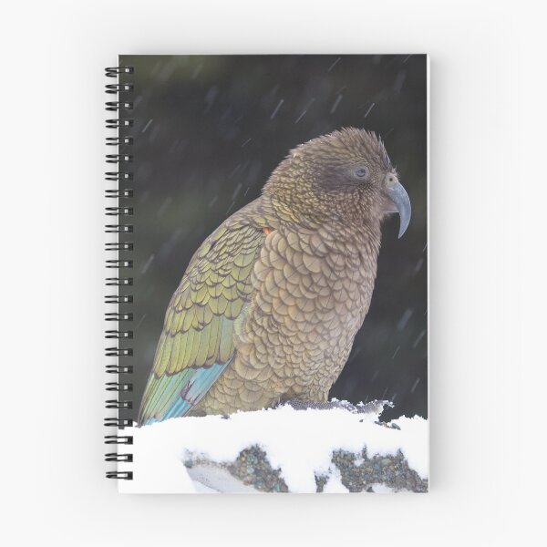 Item preview, Snow Kea designed and sold by Kimball Chen.