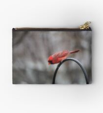 Redbird Studio Pouch