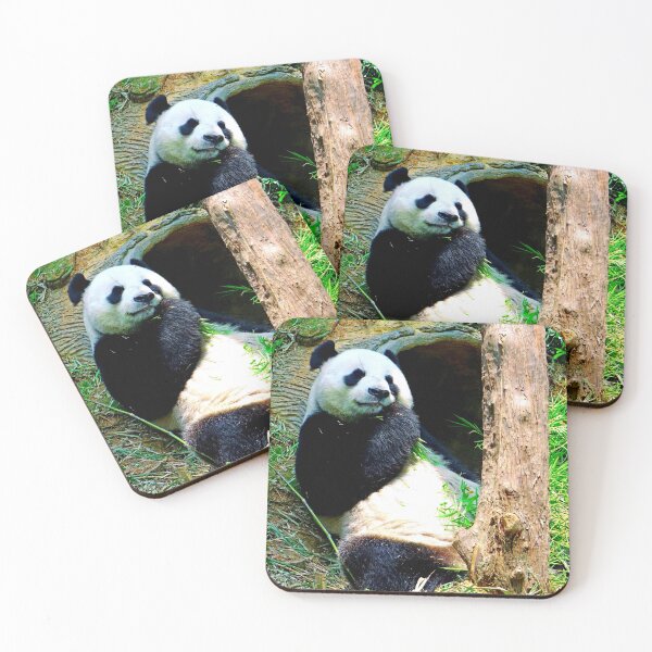 Item preview, panda photo with high resolution quality designed and sold by Allyouneed-2.