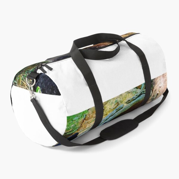 Item preview, panda photo with high resolution quality designed and sold by Allyouneed-2.