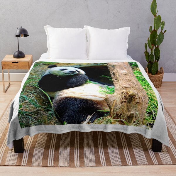 Item preview, panda photo with high resolution quality designed and sold by Allyouneed-2.