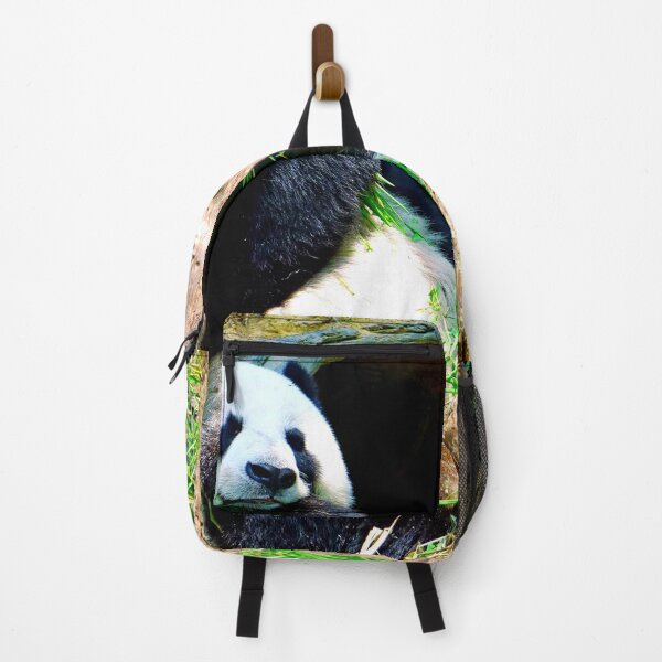 Item preview, panda photo with high resolution quality designed and sold by Allyouneed-2.