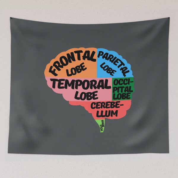 Item preview, Parts of the human brain designed and sold by ArTips.