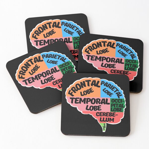 Item preview, Parts of the human brain designed and sold by ArTips.