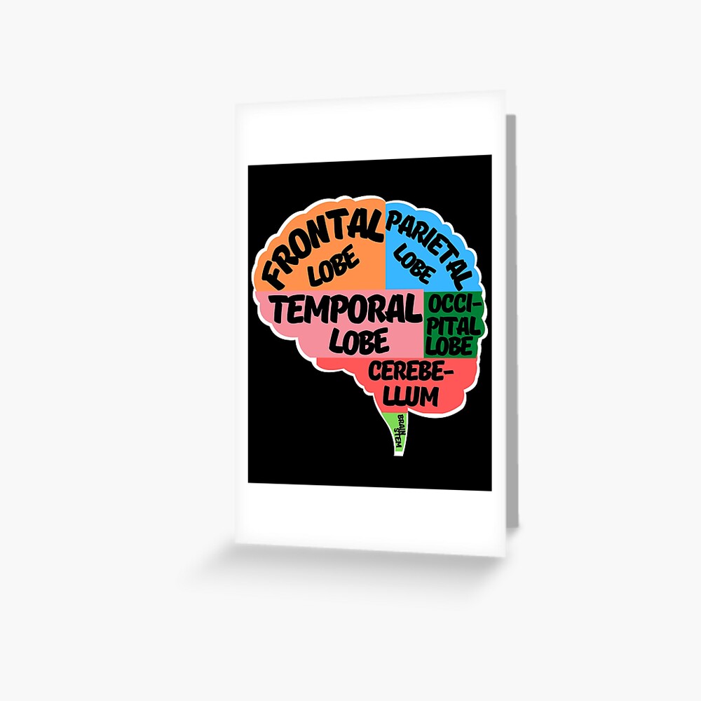 parts-of-the-human-brain-greeting-card-for-sale-by-artips-redbubble