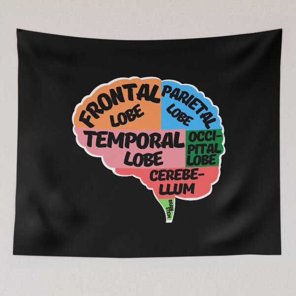 Item preview, Parts of the human brain designed and sold by ArTips.