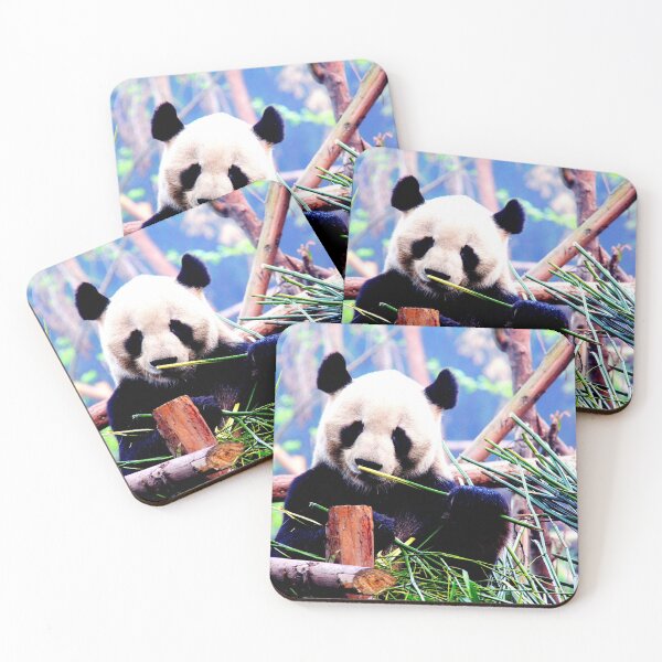 Item preview, panda photo with high resolution quality designed and sold by Allyouneed-2.