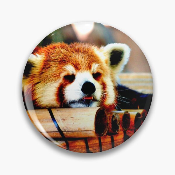 Item preview, panda photo with high resolution quality designed and sold by Allyouneed-2.
