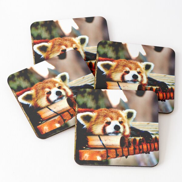 Item preview, panda photo with high resolution quality designed and sold by Allyouneed-2.