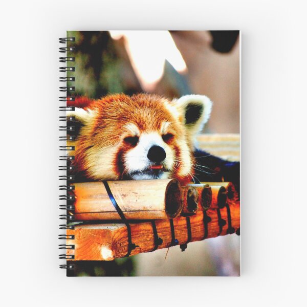 Item preview, panda photo with high resolution quality designed and sold by Allyouneed-2.