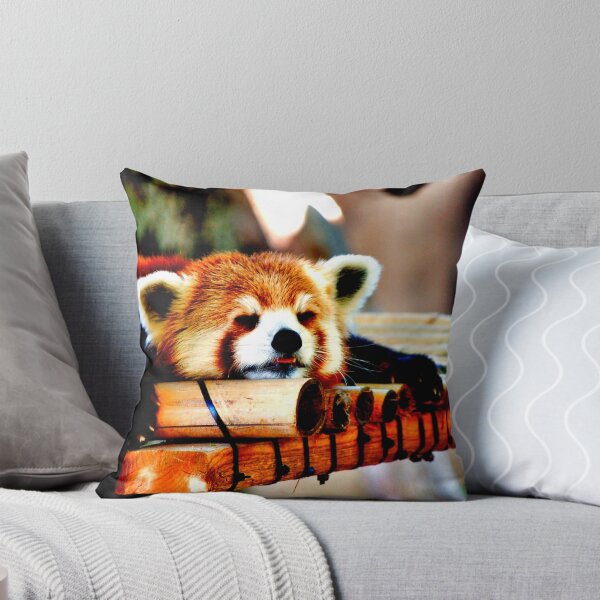 Item preview, panda photo with high resolution quality designed and sold by Allyouneed-2.
