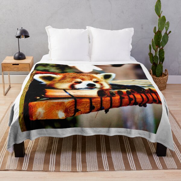 Item preview, panda photo with high resolution quality designed and sold by Allyouneed-2.