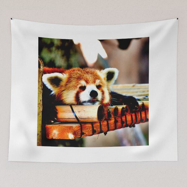 Item preview, panda photo with high resolution quality designed and sold by Allyouneed-2.