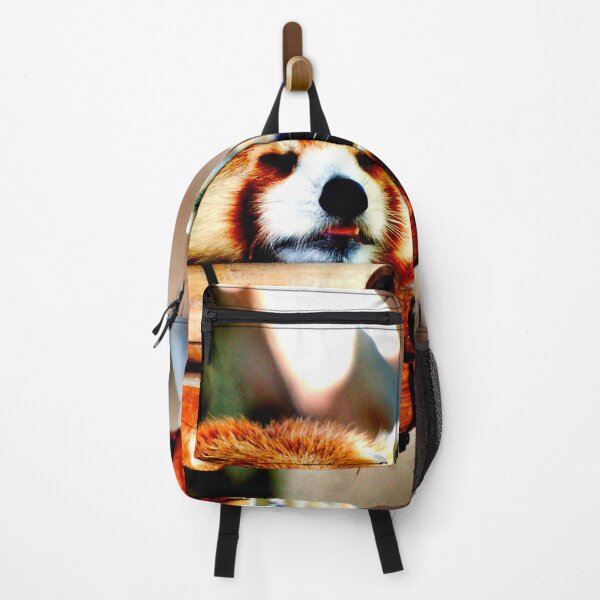 Item preview, panda photo with high resolution quality designed and sold by Allyouneed-2.