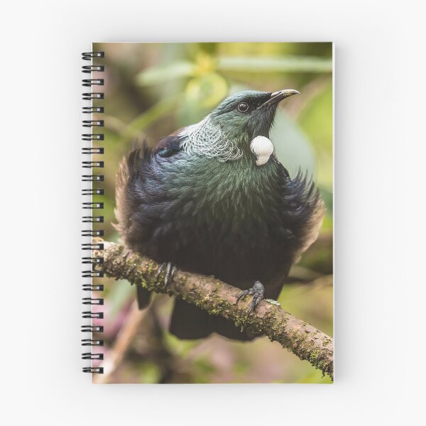 Item preview, Tui - New Zealand designed and sold by Kimball Chen.