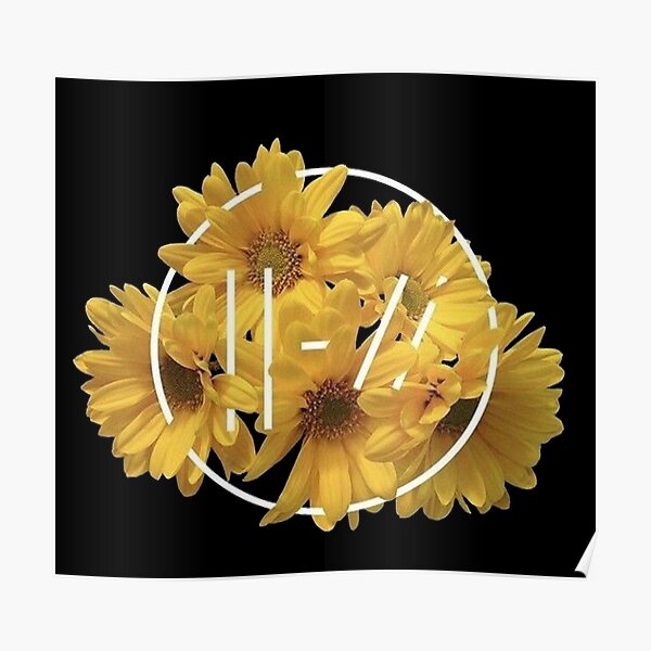 yellow daisy Poster