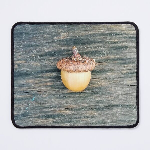 Item preview, Acorn designed and sold by Treebarkart.