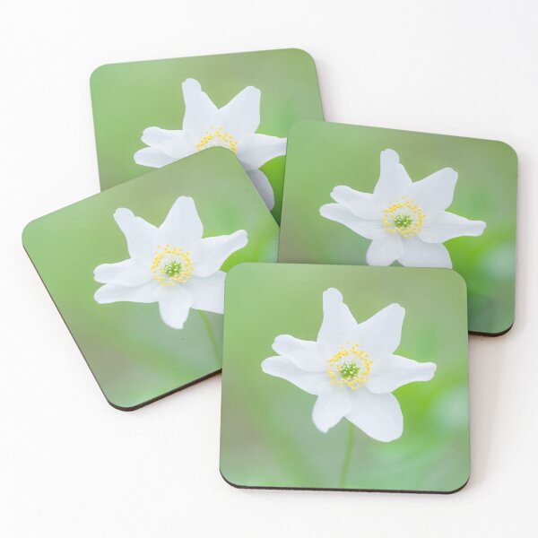 Item preview, Wood Anemone (Anemone nemorosa) designed and sold by Craig Joiner.