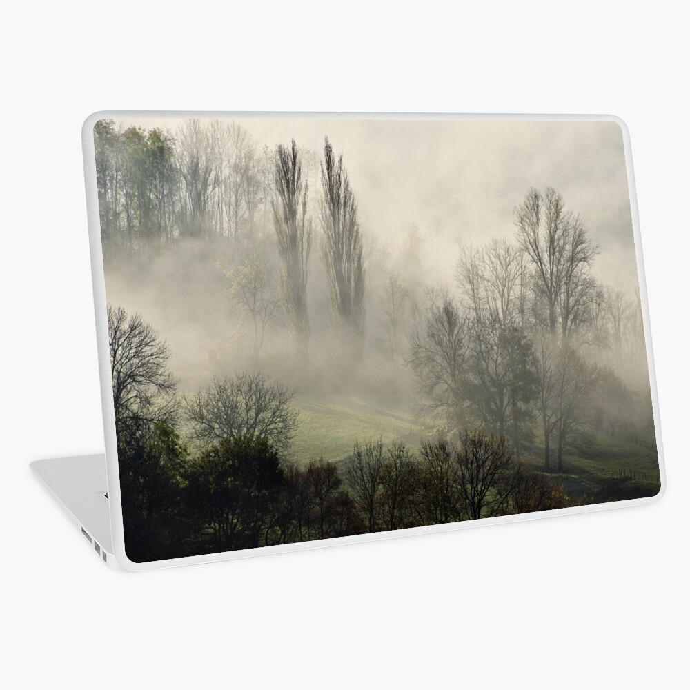 Item preview, Laptop Skin designed and sold by patmo.