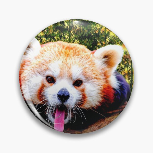 Item preview, panda photo with high resolution quality designed and sold by Allyouneed-2.