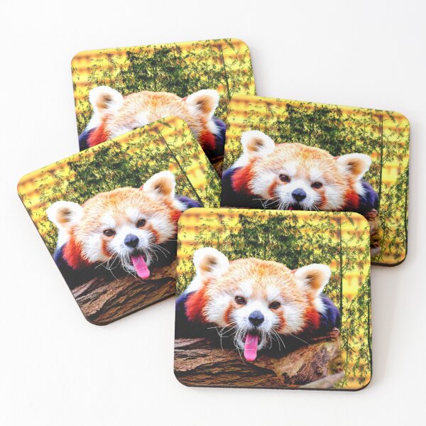 Item preview, panda photo with high resolution quality designed and sold by Allyouneed-2.