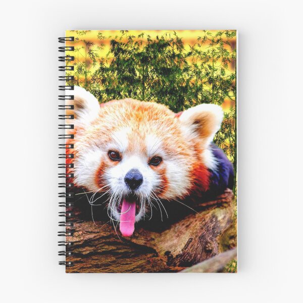 Item preview, panda photo with high resolution quality designed and sold by Allyouneed-2.