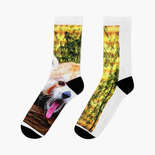 Item preview, panda photo with high resolution quality designed and sold by Allyouneed-2.