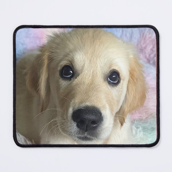 Item preview, Golden retriever puppy designed and sold by Fluffycat2020.