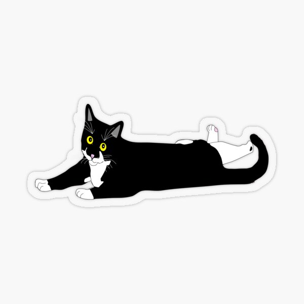 Cute Tuxedo Cat just laying around Black and White Cat Transparent Sticker