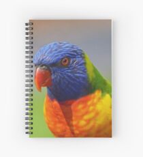 You want Colour Spiral Notebook