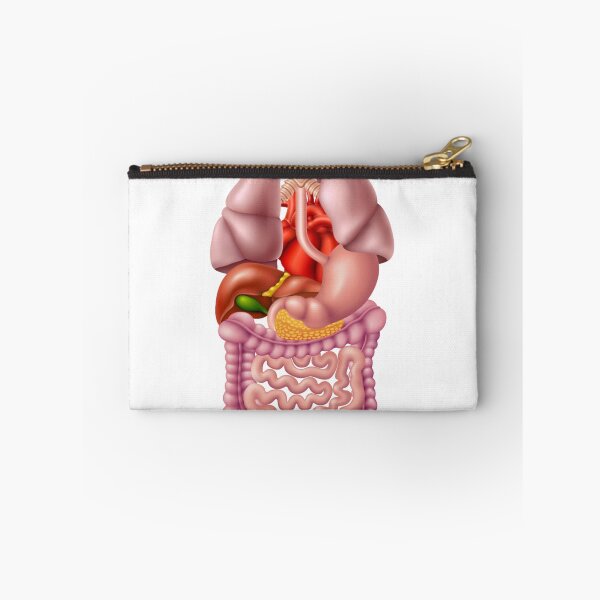 Item preview, digestive system designed and sold by hadil19378.