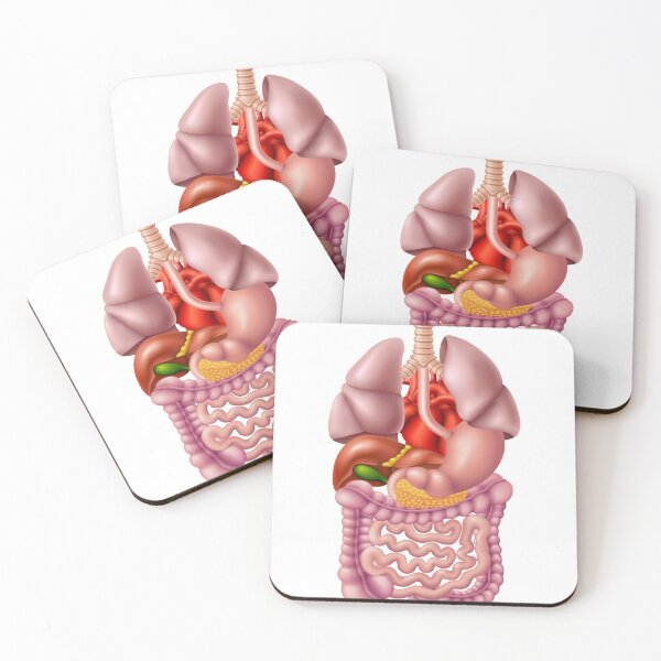 Item preview, digestive system designed and sold by hadil19378.