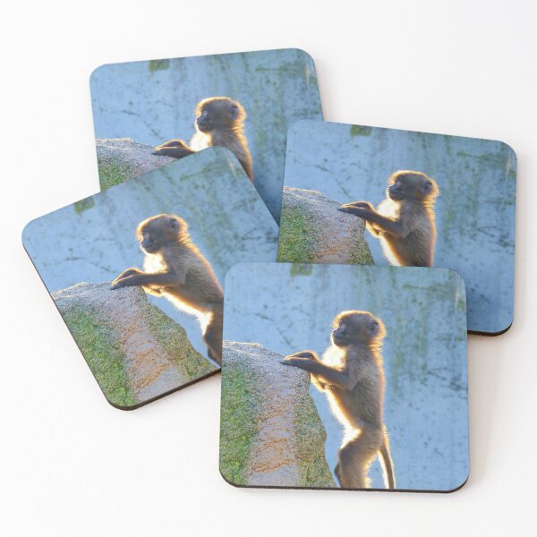 Item preview, monkey photo with high resolution quality designed and sold by Allyouneed-2.