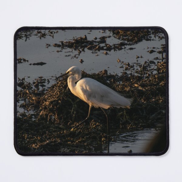 Item preview, Little Egret designed and sold by Shot-By-Reedy.