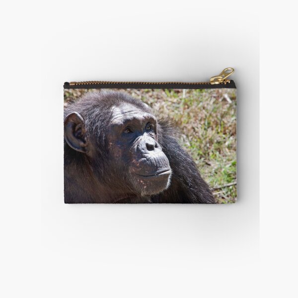 Item preview, "Tarzan?  I Don't Know Anyone Named Tarzan!" designed and sold by phil decocco.
