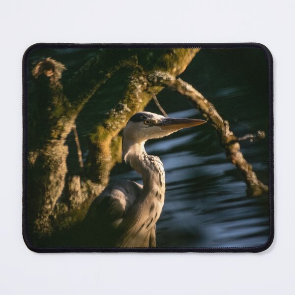Item preview, Grey Heron designed and sold by Shot-By-Reedy.