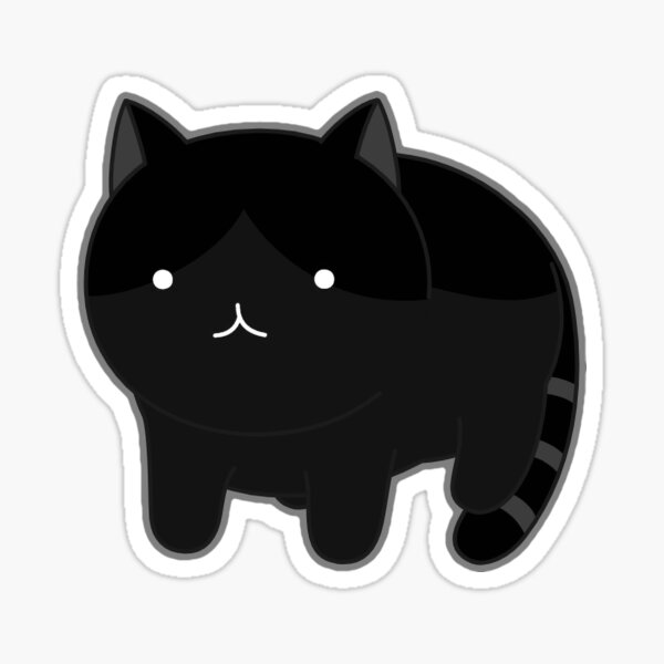 Black Magic, furry, witch, house, kitty, black, magic, cat, fisheye, sleek,  hello, HD wallpaper