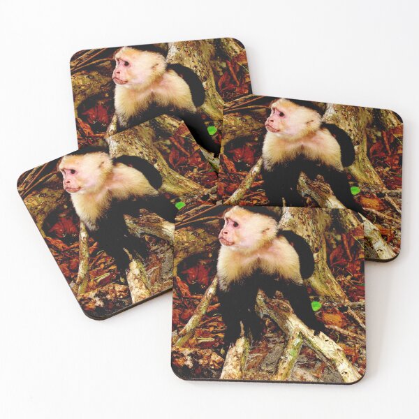 Item preview, monkey photo with high resolution quality designed and sold by Allyouneed-2.