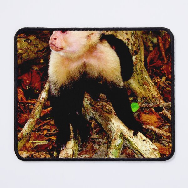 Item preview, monkey photo with high resolution quality designed and sold by Allyouneed-2.