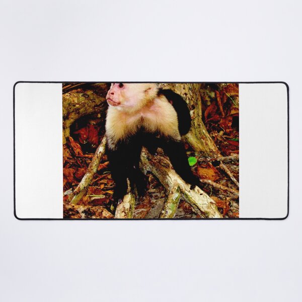Item preview, monkey photo with high resolution quality designed and sold by Allyouneed-2.