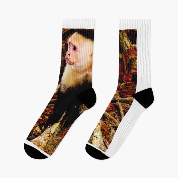Item preview, monkey photo with high resolution quality designed and sold by Allyouneed-2.